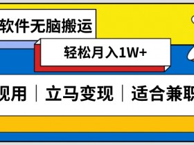 低密度新赛道视频无脑搬一天1000+几分钟一条原创视频零成本零门槛超简单【揭秘】