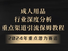 2024年重点潜力赛道，成人用品行业深度分析，重点渠道引流保姆教程【揭秘】