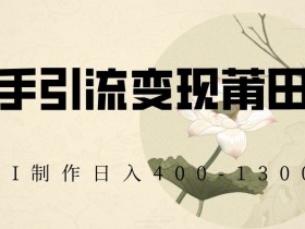 快手引流变现莆田鞋，AI制作日入400+【揭秘】
