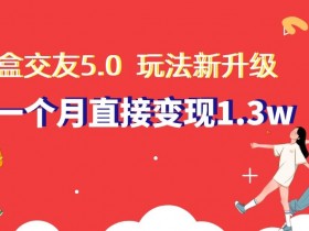 盲盒交友5.0，玩法全新升级，一个月直接变现1.3W，新手小白轻松上手【揭秘】