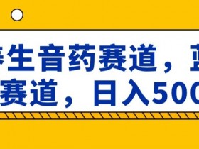 养生音药赛道，蓝海赛道，日入500+【揭秘】