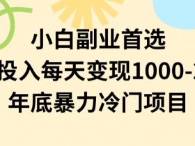 小白副业首选，0成本投入，每天变现1000-2000年底暴力冷门项目【揭秘】