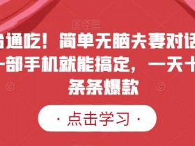 全平台通吃！简单无脑夫妻对话动画视频，一部手机就能搞定，一天十几条，条条爆款【揭秘】