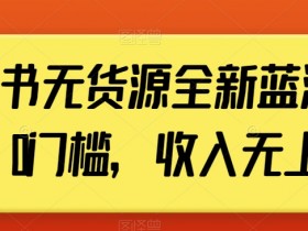 小红书无货源全新蓝海计划，0门槛，收入无上限【揭秘】