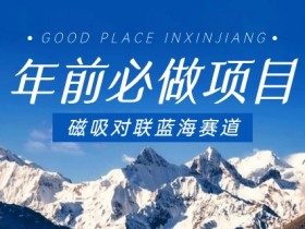 年前必做项目，磁吸对联蓝海赛道，傻瓜式操作复制粘贴纯搬运，一部手机即可完成