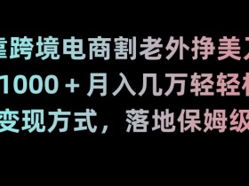 靠跨境电商割老外挣美刀，日入1000＋月入几万轻轻松松！多种变现方式，落地保姆级教程【揭秘】