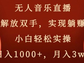 无人音乐直播，解放双手，实现躺赚，小白轻松实操，日入1000+，月入3w+【揭秘】