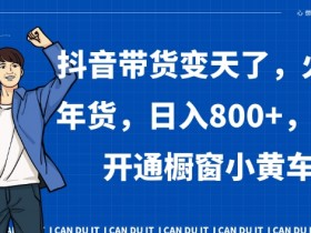 抖音带货变天了，火爆年货，日入800+，0粉开通橱窗小黄车【揭秘】