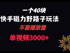 一个40块，快手联合美团磁力新玩法，无视机制野路子玩法，单视频收益4位数【揭秘】