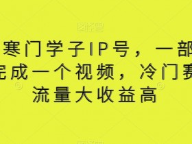 视频号寒门学子IP号，一部手价5分钟完成一个视频，冷门赛道，流量大收益高【揭秘】