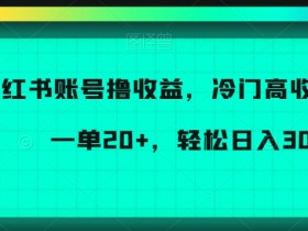 小红书账号撸收益，冷门高收益项目，一单20+，轻松日入300+【揭秘】