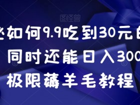 揭秘如何9.9吃到30元的外卖，同时还能日入300+，极限薅羊毛教程