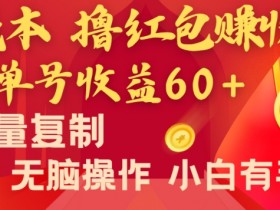 全新平台，0成本撸红包赚收益，单号收益60+，可批量复制，无脑操作，小白有手就行【揭秘】