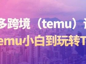 拼多多跨境（temu）课程，从Temu小白到玩转Temu