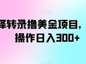 翻译转录撸美金项目，轻松操作日入300+【揭秘】
