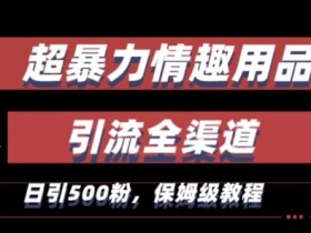最新情趣项目引流全渠道，自带高流量，保姆级教程，轻松破百单，日引500+粉【揭秘】
