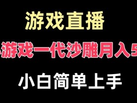 玩小游戏一代沙雕月入5w，爆裂变现，快速拿结果，高级保姆式教学【揭秘】