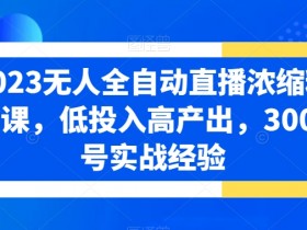 2023无人全自动直播浓缩精华课，低投入高产出，3000号实战经验