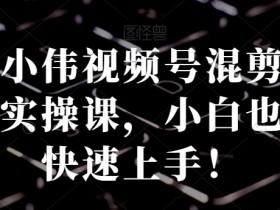 张小伟视频号混剪带货实操课，小白也能快速上手！