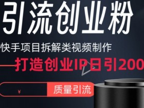 快手项目拆解类视频详细制作流程打造个人IP，单日引流200+高质量创业粉【揭秘】