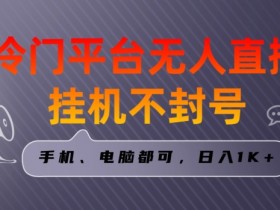 全网首发冷门平台无人直播自动运行项目，三天起号日入1000＋，手机电脑都可操作小白轻松上手【揭秘】
