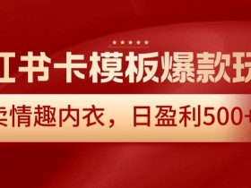 小红书卡模板爆款玩法，售卖情趣内衣，日盈利500+【揭秘】