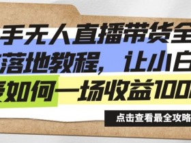 快手无人直播带货全方位落地教程，让小白感受如何一场收益1000+【揭秘】