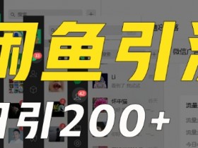 外面收费6980闲鱼引流法，日引200+创业粉，每天稳定2000+收益，保姆级教程（适合居家创业）