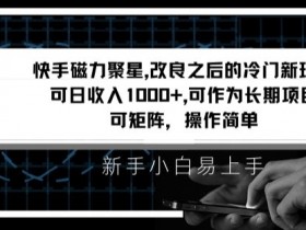 快手磁力聚星改良新玩法，可日收入1000+，矩阵操作简单，收益可观【揭秘】