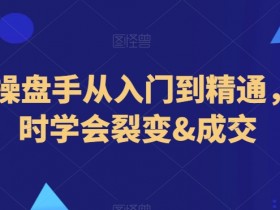 抖音操盘手从入门到精通，3小时学会裂变&成交