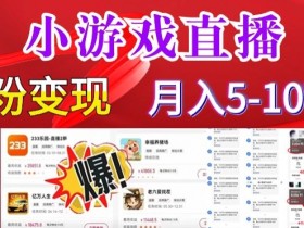 小游戏怪谈研究所可真人无人直播日入3600+，快速变现，长久项目，小白轻松上手【揭秘】