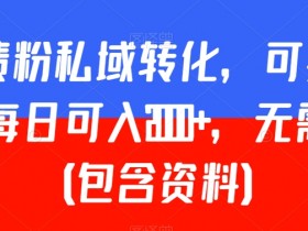 负债粉私域转化，可卖教程，每日可入2000+，无需经验（包含资料）【揭秘】