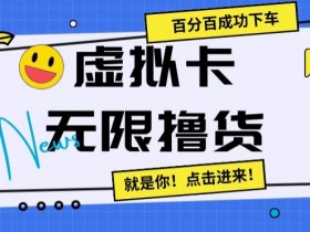 虚拟卡无限撸货，百分百成功下车【仅揭秘】