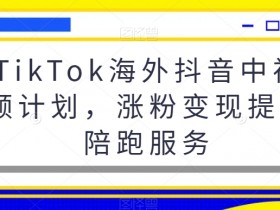 TikTok海外抖音中视频计划，涨粉变现提现陪跑服务