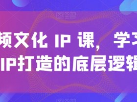 短视频文化IP课，学习文化IP打造的底层逻辑