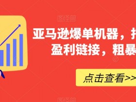 亚马逊爆单机器，打造巨额盈利链接，粗暴好用