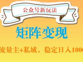 公众号软件玩法私域引流网盘拉新，多种变现，稳定日入1000【揭秘】