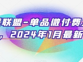 臻曦联盟-单品微付费正价起号，2024年1月最新课程