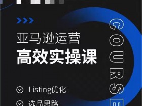 亚马逊运营高效实操课，Listing优化，选品思路