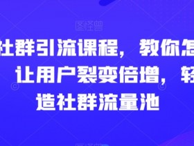 玩转社群引流课程，教你怎么玩社群，让用户裂变倍增，轻松打造社群流量池