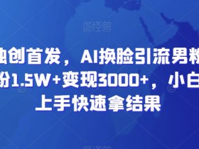 全网独创首发，AI换脸引流男粉，单日涨粉1.5W+变现3000+，小白也能上手快速拿结果【揭秘】