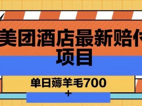 美团酒店最新赔付项目，单日薅羊毛700+【仅揭秘】