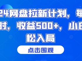 2024网盘拉新计划，每天1小时，收益500+，小白轻松入局【揭秘】