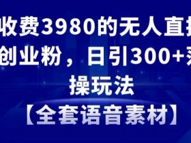 外面收费3980的无人直播精准引流创业粉，日引300+落地实操玩法【全套语音素材】【揭秘】