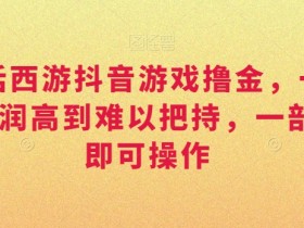 靠大话西游抖音游戏撸金，一单30，利润高到难以把持，一部手机即可操作，日入3000+【揭秘】