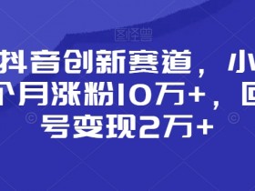 靠做抖音创新赛道，小白也能一个月涨粉10万+，回收账号变现2万+【揭秘】