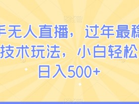快手无人直播，过年最稳项目，技术玩法，小白轻松上手日入500+【揭秘】