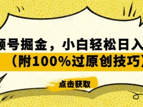 视频号掘金，小白轻松日入800+（附100%过原创技巧）【揭秘】