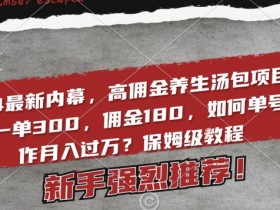 2024最新内幕，高佣金养生汤包项目解密，一单300，佣金180，如何单号操作月入过万？保姆级教程【揭秘】