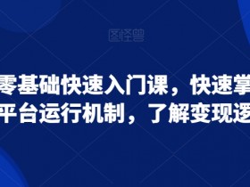 小红书零基础快速入门课，快速掌握小红书平台运行机制，了解变现逻辑